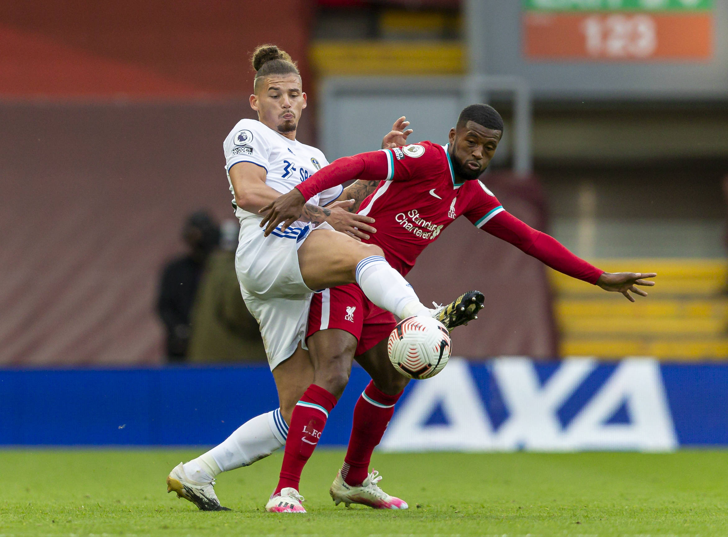 霍伊伦的选 霍伊伦的选